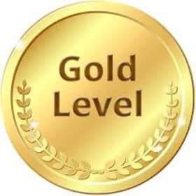 Business Sponsor- Gold item