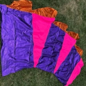 1991 Star of Indiana Flag item