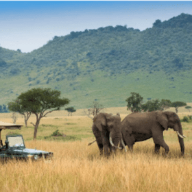 Kenya Excursion for Two – An Unforgettable 7-Day Adventure item