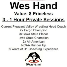 Sesiones privadas de 3 a 1 hora con el entrenador de lucha libre de PV Wes Hand item