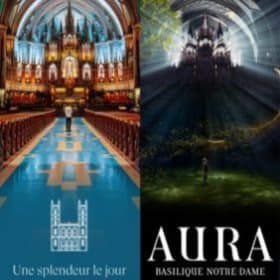 LOT #19 - AURA - 100 $ item