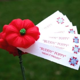 Traditional "Buddy" Poppies (bundles of 10 poppies). item