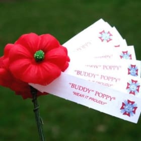 Traditional "Buddy" Poppies (500 Count). item
