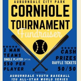 SINGLE PLAYER OPT IN item