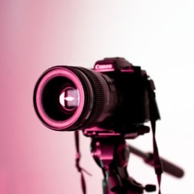 #19 Picture Perfect - $1500 value item