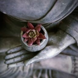 Retraite zen - Montréal item