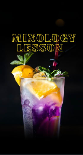 Two-Hour Mixology Lesson by a Professional Bartender item