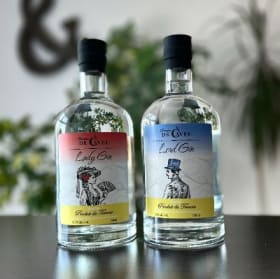 LOT #9 - DRY GIN - 80$ item