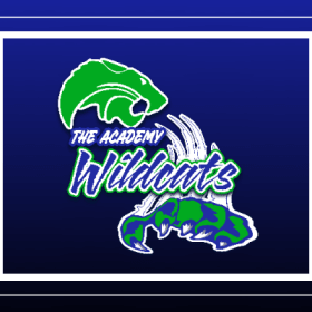 Wildcats blanket - design 1 - XL item