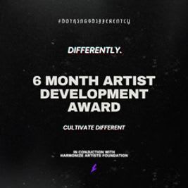 Differently Artist Development Application item