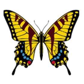 Swallowtail Sponsor item