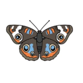 Buckeye Sponsor item