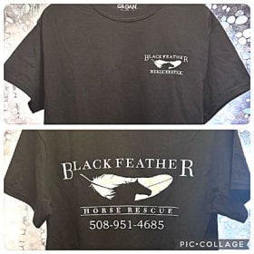 Black T-shirt (Sizes S-XL) item