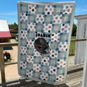 Chance Quilt item