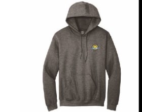 TS grey hoodie item
