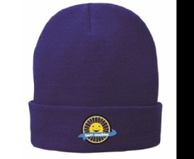 '24 TS lined stocking cap item