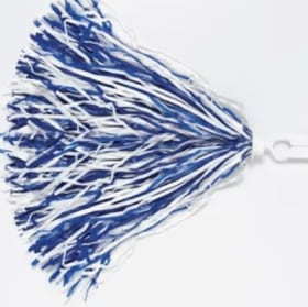 Rally Pom Poms item