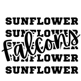 Falcons Overlay T-shirt YOUTH SIZES item