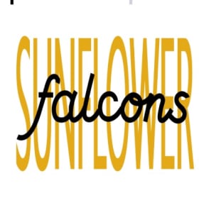 Sun Falc Crew Sweatshirt 2X-3X item