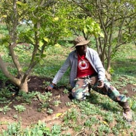 Bonsall, CA 3-Farm Tour and Al Fresco Lunch for 12 item