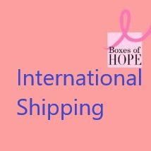 International Shipping Rate for Care Package item