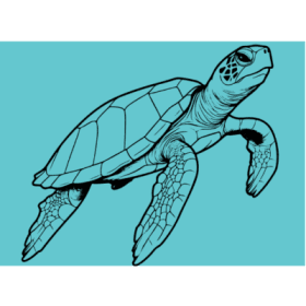 Sentinel Species item