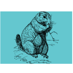 Ecosystem Engineer item