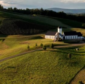 Virginia Vineyards item
