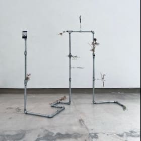 Una mutación que tiene ya, en sí, otro futuro, 2024 item