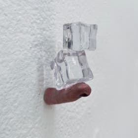 Tiempo de deshielo 4, 2024 item