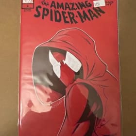 Ryan Kincaid Original Variant Spider-Man Comic item