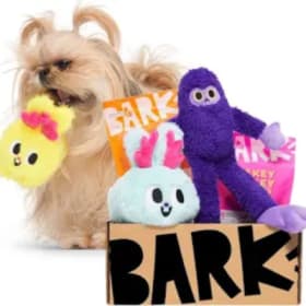 1 Month Bark Box (Value: $35) item