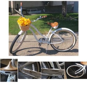 Trek Classic Step-Through Bicycle item