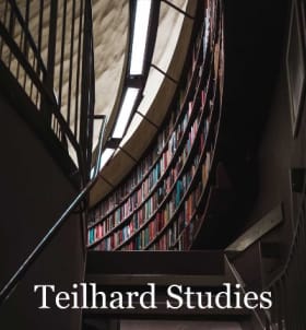 TS 84. Teilhard and Islam item