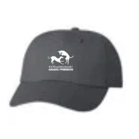 Casquette charcoal ajustable TAILLE UNIQUE item