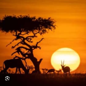 Kenya – Nyamira & Maasai Mara, 5 Days, 2 People item