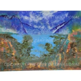 Item# 006 – Amazon Rainforest item