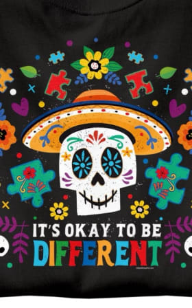 T-Shirt (adult S-XL) item