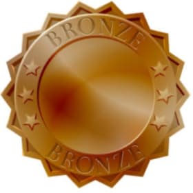 Presenting Sponsor: BRONZE item