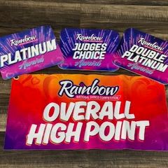 Item 2: Rainbow 1 item