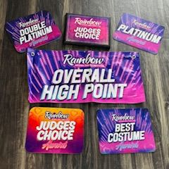 Item 23: Rainbow 6 item