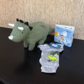 Preemie Dinosaur Bundle with “Love You Forever” item