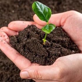 Sustaining Members Monthly Dues item