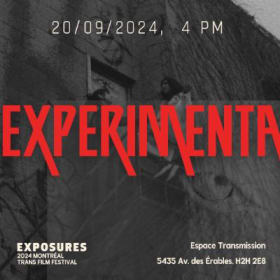 Experimenta: Trans Animation item