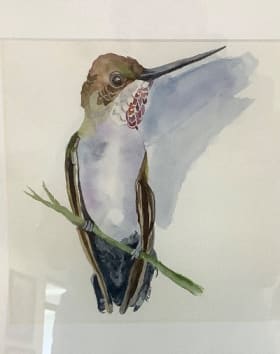 Sweet Hummingbird item