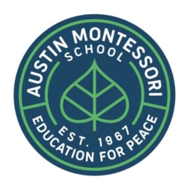 AMS Logo Car Magnet item