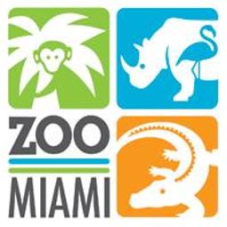 Miam Zoo Family 4 Pack item