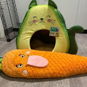 Avogato Bed & Carrot Crinkle Pillow item