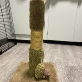 Cat Scratcher Post item