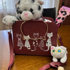 Cat satchel with goodies item